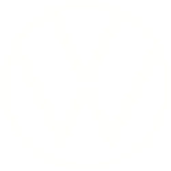 VW Camiones y Buses